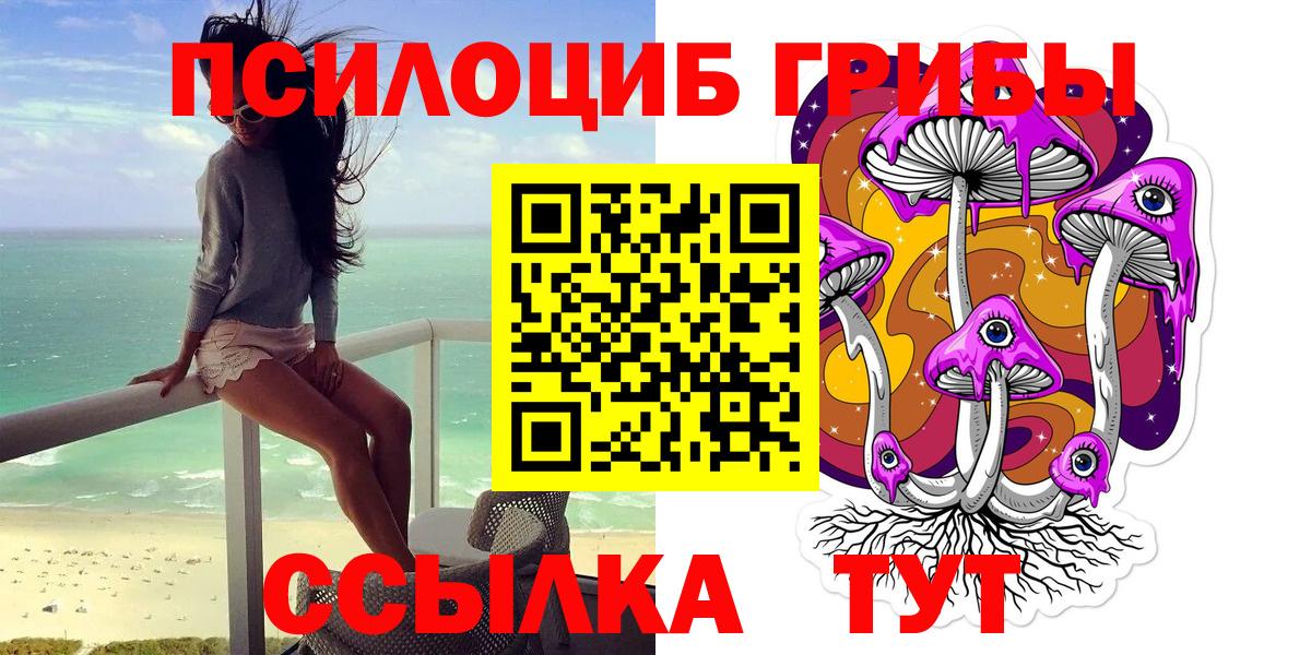Галлюциногенные грибы Psilocybe  Вход с VPN  Чистополь 