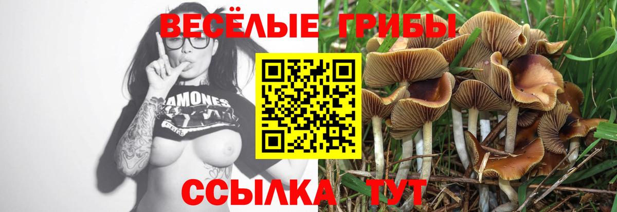 ГАШ  Канабис  Чистополь  МЕФ   Экстази  Вход с VPN  Гашиш 